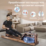 Гребной тренажер DFC RUNOW Golden Wood