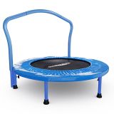 Батут с поручнем DFC Gardenature 36'' синий