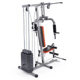 Силовой комплекс DFC HomeGym D7000-60, стек 60 кг