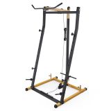 Стойка для штанги, тяга сверху и снизу DFC Y-GYM