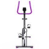 Спин-байк DFC WeR Sports  PSP-BIK-108 чёрно-розовый