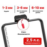 Беговая дорожка DFC SPARNOD 113 x 42 см