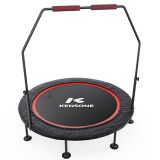 Батут для фитнеса DFC KENSONE 48" BSD-48-Black с поручнем