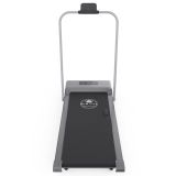 Беговая дорожка с поручнем DFC NEW LIFE TM-200z, 98 х 39,5 см