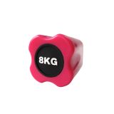 Бодибар FT, 8 кг