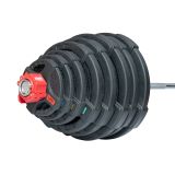 Штанга олимпийская с дисками 218 кг, 2200 мм